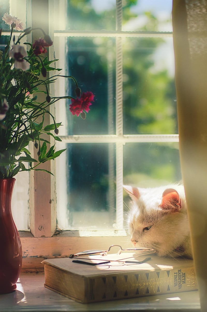 Natural Bliss