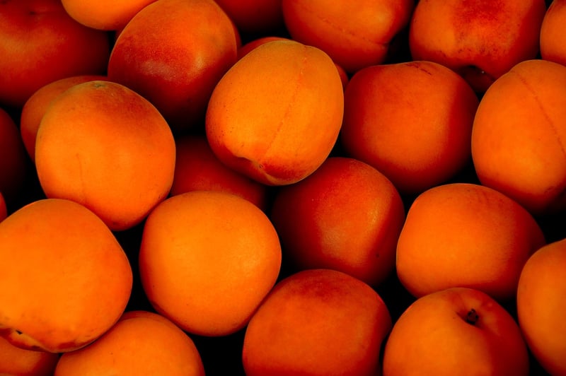 Nature's Bounty Buffet