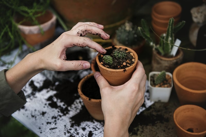 Green Plants